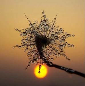 Meet your Posher, Myduyen